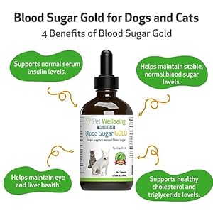 Pet Wellbeing – Blood Sugar Gold Value Size for Dogs & Cats – Natural Support for Healthy Blood Sugar Levels in Your Pet with Diabetes – 4 oz (118ml)