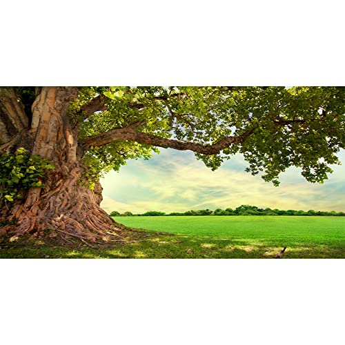 CSFOTO 20x10ft Huge Tree Backdrop Rural Scenery Field Spring Summer