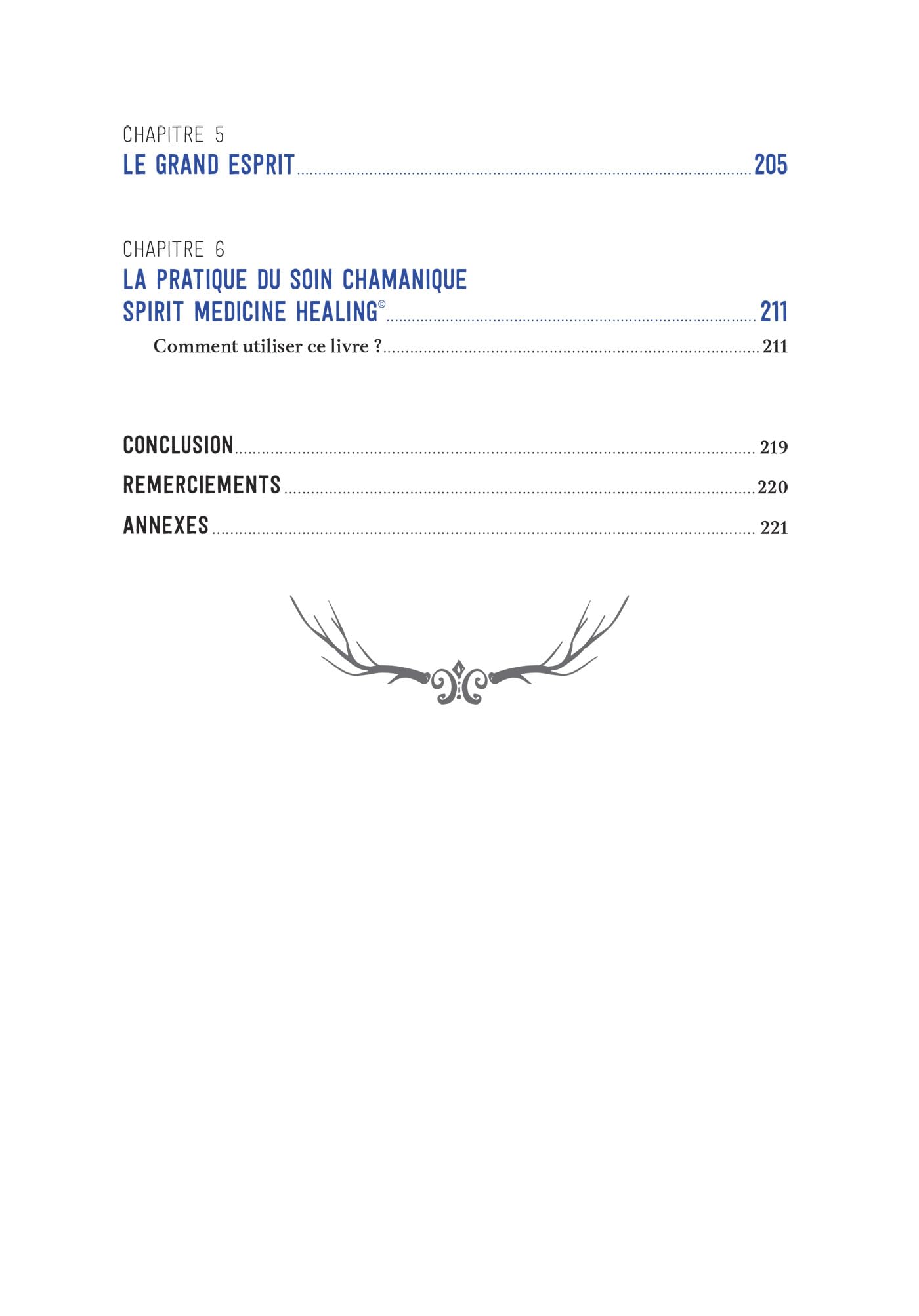 SOINS DES GUÉRISSEURS DE L'INVISIBLE - Enseignements des chamanes, femmes et hommes médecines et des