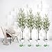 LuceAlberi 6FT Artificial Olive Tree - Indoor Tall Faux Olive Trees with Planter&Basket, Large Fake Olive Silk Tree Realistic Olive Plants with Branches and Fruits for Home Decor Office Living Room