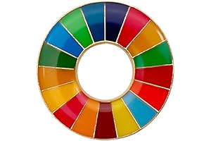 SDG Brooch: A Vibrant Symbol of Global Sustainability