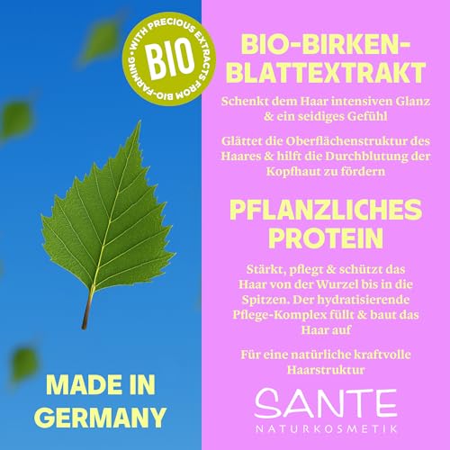 SANTE Naturkosmetik Festes Shampoo für glanzloses und normales Haar, Vegane Formel mit Bio-Birkenblatt und pflanzlichem Protein, Festes Glanz Pflege-Shampoo, 1 x 60 g