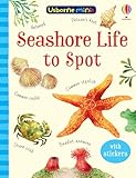 Photo Gallery seashore life to spot (usborne mini books): 1 (usborne minis)