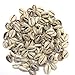 100 Pcs Bulk Cut Sea Shell Beads Cowrie Craft