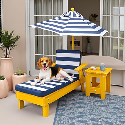 tavo pets shell lounge chair review