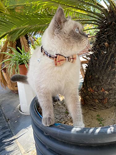 SuperBuddy Cat Collars Breakaway with Cute Bow Bell - 2 Pack Kitten Collar Plaid Cat Collar with Removable Bowtie Cat… - Image 7