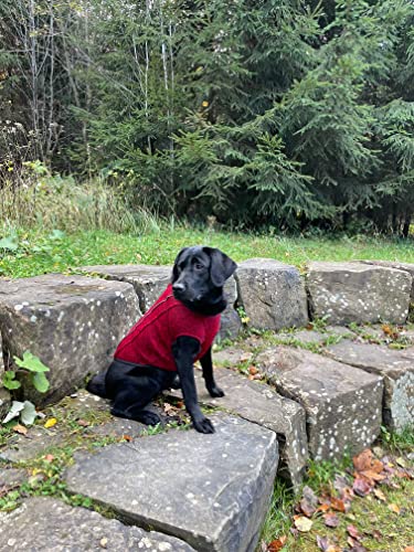 iEnergy™ OSC isolierende und warme Outdoor-Hundejacke mit Fleece-Innenfutter, windabweisender, ultraleichter und reflektierender Hundemantel, Ganzjahres-Hundeviespullover (Rot, Groß)