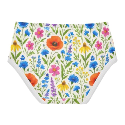 Joisal Toddlers Underwear Floral 2t Cotton Girl Panties Cute Colorful Underpants Briefs Botanical Wildflowers Plants Beige2