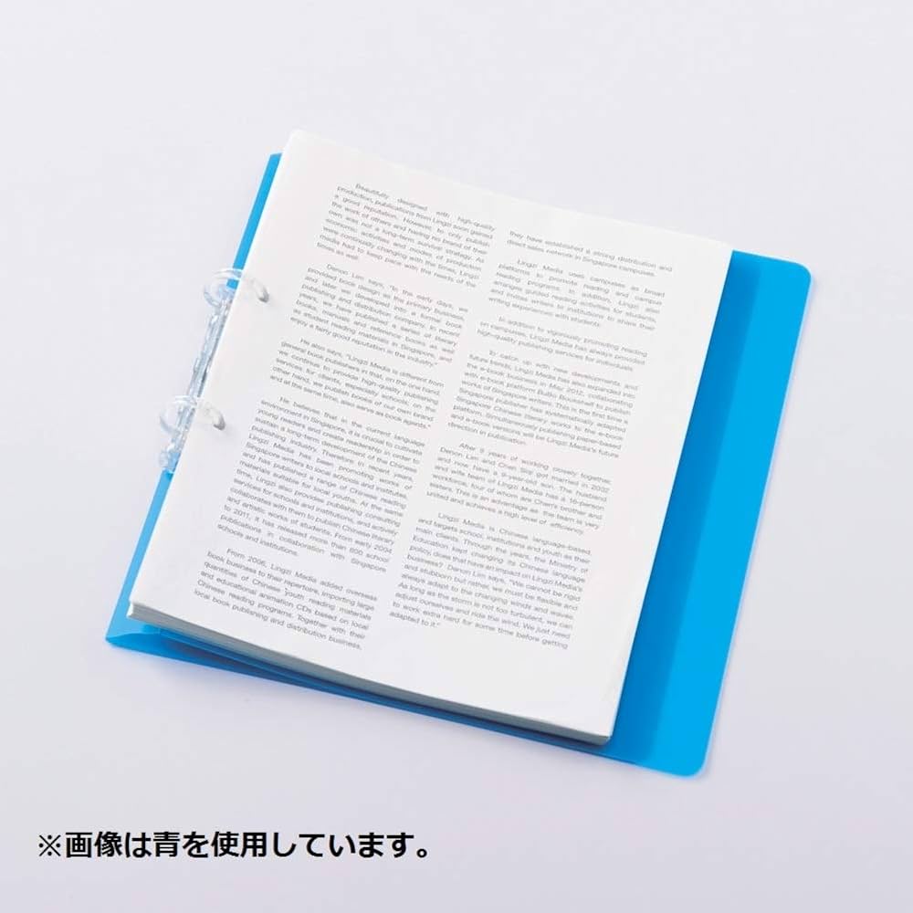 蛇腹ファイル　チロル　N55-10 N55-8 蛇腹ファイル チロル N55-10 N55-8 蛇腹ファイル チロル N55-10