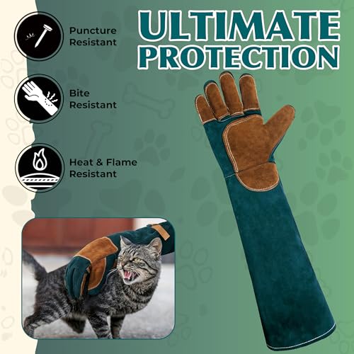 Image of HANDLANDY Animal Handling Gloves, Bite-Proof, Scratch-Resistant, Pet Gloves for Dogs, Cats, Falconry, Gardening