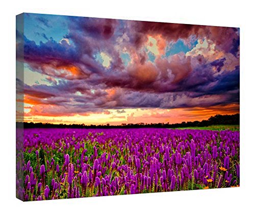 Lienzo de campo morado con marco de madera de 40 x 50 cm listo para colgar