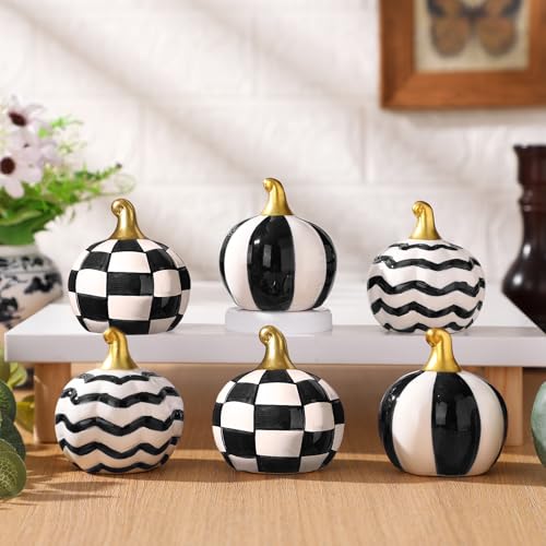 DoubleFill 6 Pcs Black and White Ceramic Chinoiserie Pumpkins Fall