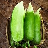 Semillas Rabanitos Orgánicos, Semillas Huerto Rabanitos, Cultivar Plantas De Jardín Plantas Resistentes Para El Jardín Plantas Exóticas De Interior 200 Piezas