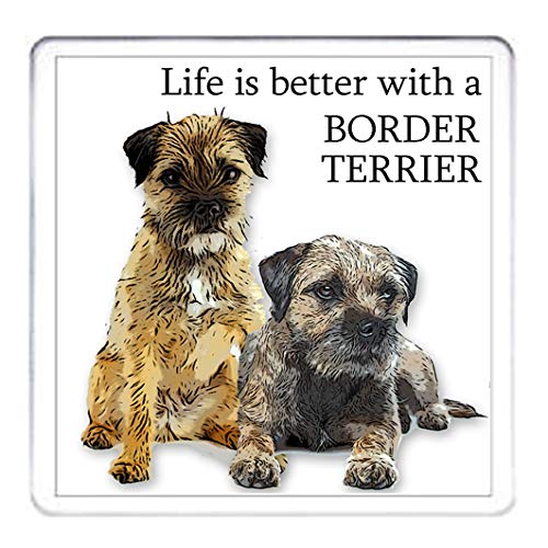 BORDER TERRIER COASTER Life Is Better With A Border Terrier. 10cm x 10cm acrylic.