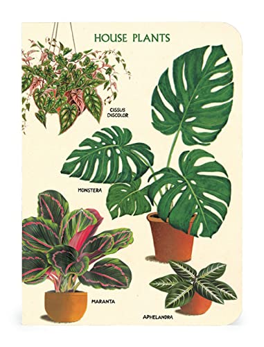 Carnet de notes Cavallini idée cadeau originale pour passionnés de botanique
