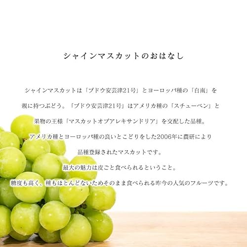 みさわのやさい シャインマスカット の商品画像 3