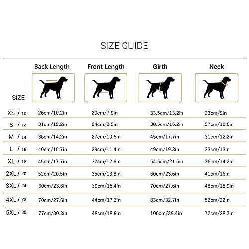 Image of Heads Up For Tails Stay Pawsitive Doggie Tshirt - S