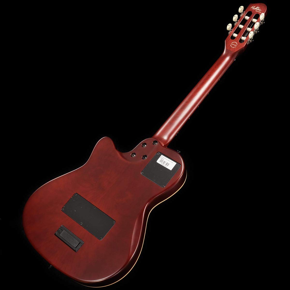 Amazon | Godin ゴダン エレアコギター Multiac Nylon Encore