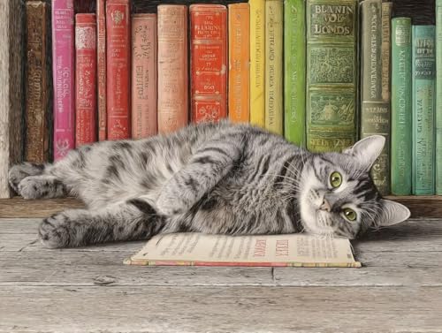 l̂߂̐GLbg DIY L̖{ GZbg 50x70cm ANG̋ M uV/t[X XgX  v[g- W͂ƃbNXʁACeAƂāA蕨ɍœKA]gɂAfR[VAȒPAlCAMtg