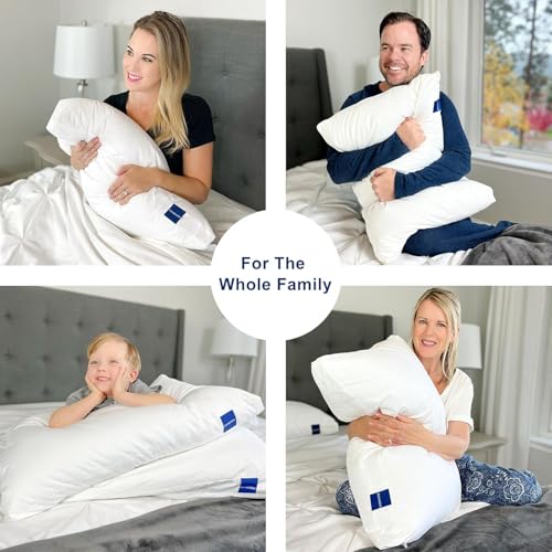 Image of ACCURATEX King Pillow 1-Pack, Adjustable Shredded Memory Foam Pillow | Hybrid memory foam & down alternative pillow for neck pain relief. Adjustable loft for side, back & stomach sleepers