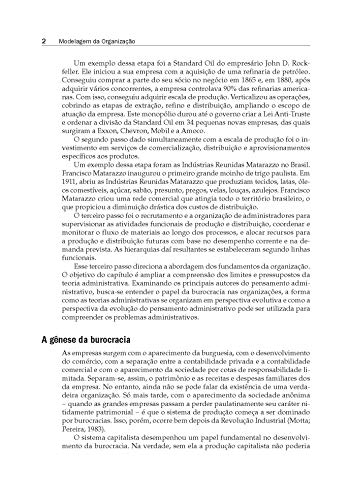 Modelagem da Organização: Uma Visão Integrada