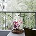 MyGift 7 inch Decorative Cloche with Rustic Wood Base - Clear Glass Bell Jar Dome Centerpiece/Tabletop Collectible Display Case with Top Heart Handle