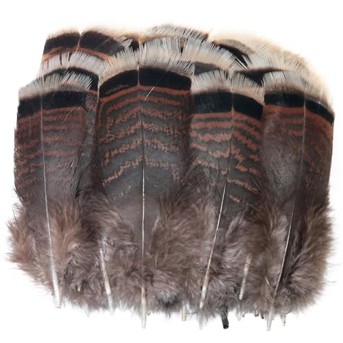 LUORNG 25PCS Natural Turkey Feathers 10-15cm/3.9-5.9inch Precious Soft Turkey Tail Feathers Natural Color for DIY Costume Headpieces Stage Props Cat Wand Toy Materials
