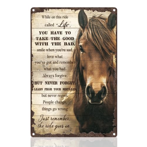 Doodlream Horse Motivational Tin Sign, Vintage Metal Wall Decor