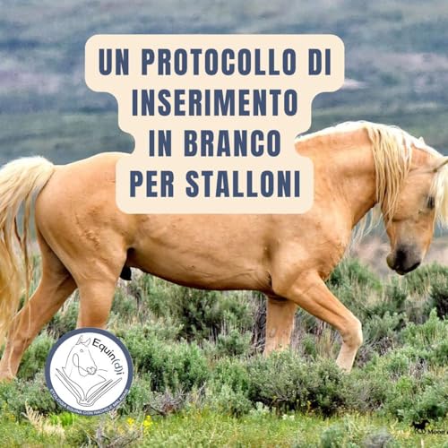 Un protocollo di introduzione per stalloni