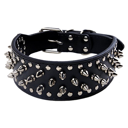 The 10 Best Collars For Bulldogs Dog Fluffy