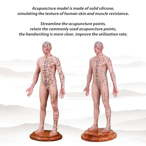 Acupuncture Model 18.9 inch 256 Acupoint, Human Acupoint Model Full Silicone Body, Acupuncture Doll for Chinese Medicine Teaching Learning Beginners - English Marking - Thumbnail 3
