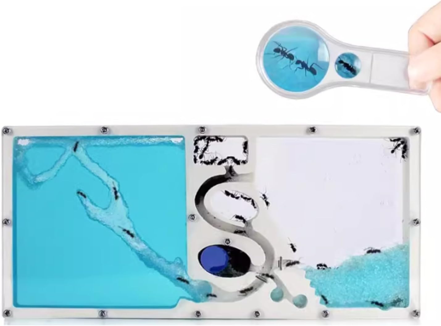 Ant Farm Ant Castle Nest Watching at Home Farm Habitat Science Learning Kit Habitat(Blue)