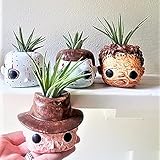 Lyxaof Horror Movie Planters Halloween Flower Pot 4pcs Mini Scary Head Plant Pots Resin Ghost Face Flower Succulent Planter with Drainage Hole for Indoor Outdoor Home Decor