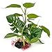 Mylivell Aquarium Plants Artificial Plastic Lifelike Fish Tank Water Plant for Aquarium Decoration Water Grass Aquarium Décor 8.6 Inch