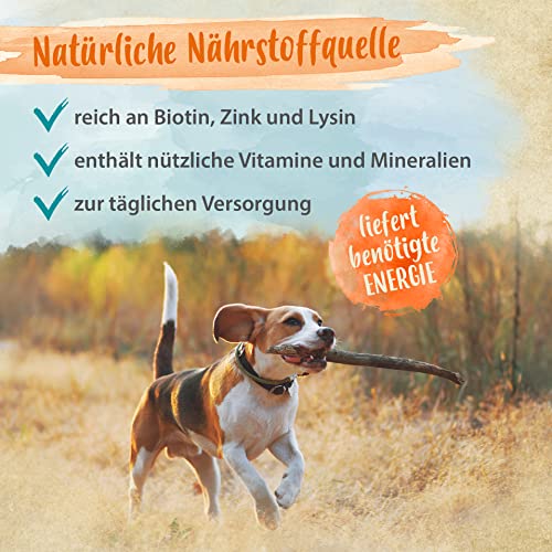 Ida Plus Bierhefe-Tabletten 120 Stück für Hund & Katze - reich an B-Vitaminen, Mineralien & Spurenelementen - glänzendes Fell, gesunde Haut & Krallen - unterstützt die Verdauung & Abwehrkräfte