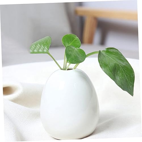 Miniatura 2 de Garneck 6 pcs Ceramic Arranger Wedding Bottle Nursery Plant Container Wedding Table Centerpiece hydroponics Planter Decorative vase Dining Table Dry