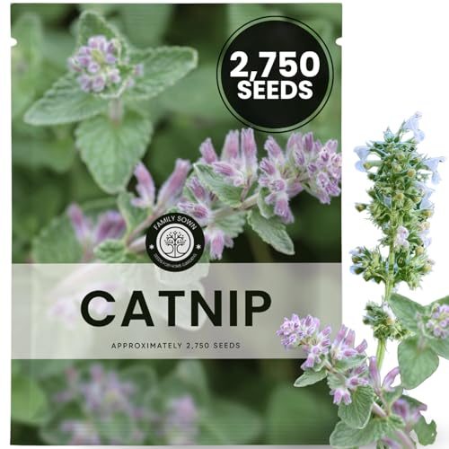 2,750 Premium Catnip Seeds