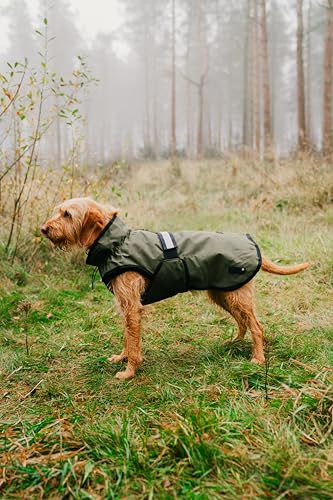 Danish Design 3-in-1-Hundemantel, Olivgrün, 25 cm, für jedes Wetter, mit Fleece gefüttert, reflektierender Regenmantel für Hunde