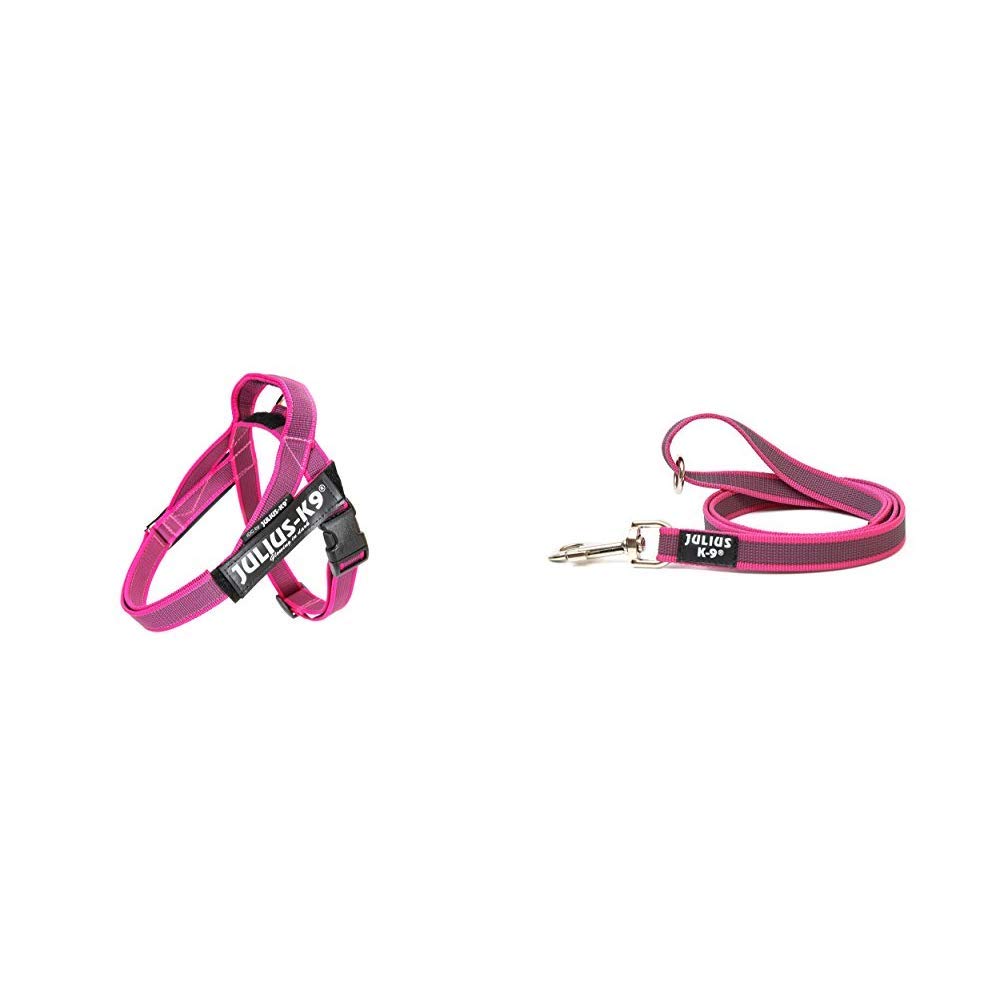 Julius-K9 Color & Gray Leash Harness and Color & Gray Leash with Handle and O-Ring, Size: Mini-Mini, Pink-Grey