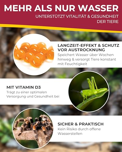 HOBBY Terraristik Aqua Pearls Vit D3 1000 ml I vitaminhaltige Wasserperlen I Wasserspeicher für Terrarien I Für Spinnen, Insekten & Futterinsekten I sicher & ergiebig I Terrarium Zubehör