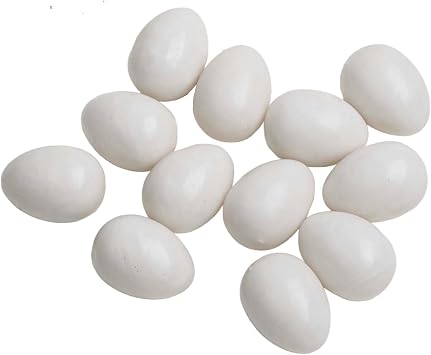 Besttoolifes 12Pcs White Plastic Simulated Pigeon Eggs, Realistic Fake Eggs For Pigeon Hatching And Training, Lasting Reusable Bird Breeding Accessories