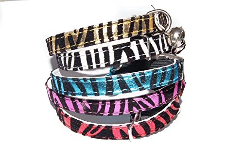 Pet Palace® (rôder púrpura) "gato de la selva collar" gatito gato con las bandas de Jaguar para los gatos que vivent sobre el lado salvaje Plus UE juguete hierba de gato Mignon gratis.