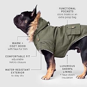Canada-Pooch-Winter-Dog-Coat-Water-Resistant-Insulated-Dog-Jacket-Faux-Fur-Trim-Dog-Parka-Coat-for-Dogs-Army-Green-Size-24 - Cucciolini Doodles   Canada-Pooch-Winter-Dog-Coat-Water-Resistant-Insulated-Dog-Jacket-Faux-Fur-Trim-Dog-Parka-Coat-for-Dogs-Army-Green-Size-24