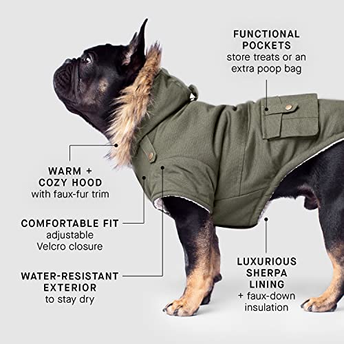 Canada-Pooch-Winter-Dog-Coat-Water-Resistant-Insulated-Dog-Jacket-Faux-Fur-Trim-Dog-Parka-Coat-for-Dogs-Army-Green-Size-24 - Cucciolini Doodles   Canada-Pooch-Winter-Dog-Coat-Water-Resistant-Insulated-Dog-Jacket-Faux-Fur-Trim-Dog-Parka-Coat-for-Dogs-Army-Green-Size-24