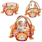 Loevin 5-in-1 Baby Play Mat,Tummy Time Mat Baby Gym with 30 Balls & 4 Toys,Play Mat for Babies 0-6 Months Baby Play Gym Funny Animal,Lion