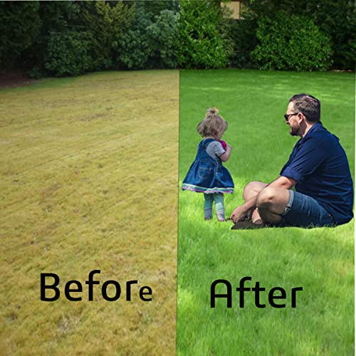 Lawn Aerator Shoes Spike Aeration for Lawn Airarator Spike Shoe Nonslip Stainless Metal Buckles Heavy Duty Spiked Sandals for Aerating Yard Walk and Grow Lawn Aerators Garden Grass shoes Epoxy