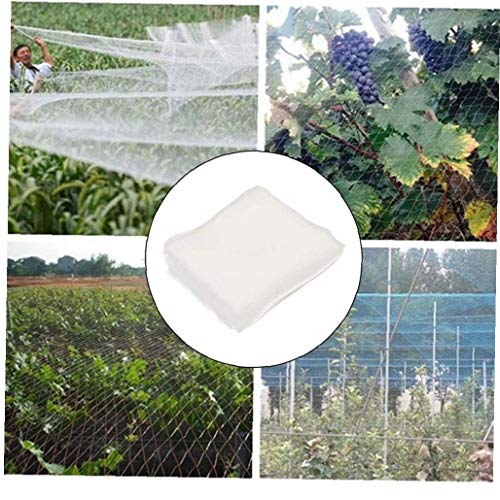 TOPofly Insecten Netting, Ongediertebestrijding Plant Bescherming Netto Fijn Mesh Insect Barrière voor Kas Tuin Planten… - Image 8