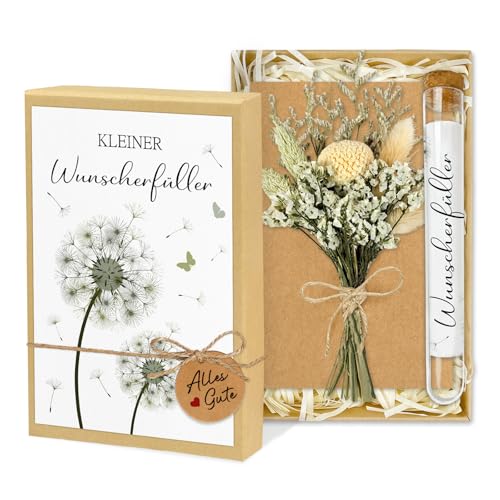 Wunscherfüller Geldgeschenk, Stilvolle Geldgeschenke Verpackung mit Reagenzglas, Trockenblumen & Karte, Geburtstagsgeschenk für Frauen Mann, Geschenk für Konfirmation Jugendweihe Geburtstag Hochzeit