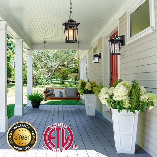 Image of VIANIS Large Outdoor Pendant Light with Adjustable Chain, Black(Gold Trim)