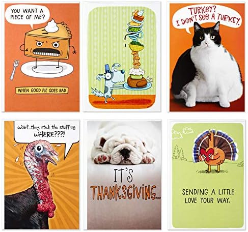 Amazon.com : Hallmark Funny Shoebox Funny Thanksgiving Card Assortment (6  Cards With Envelopes) : Office Products